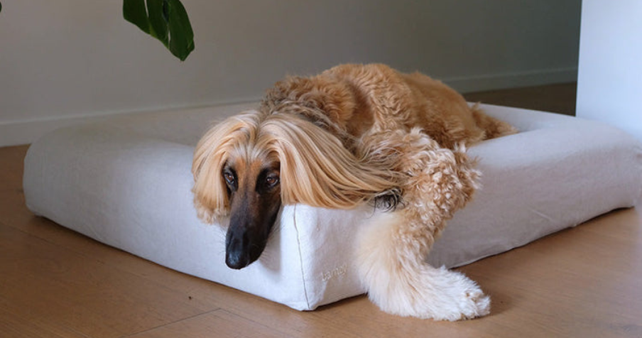 pet bed suppliers